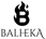 Translation missing: de.Balheka accessibility.home