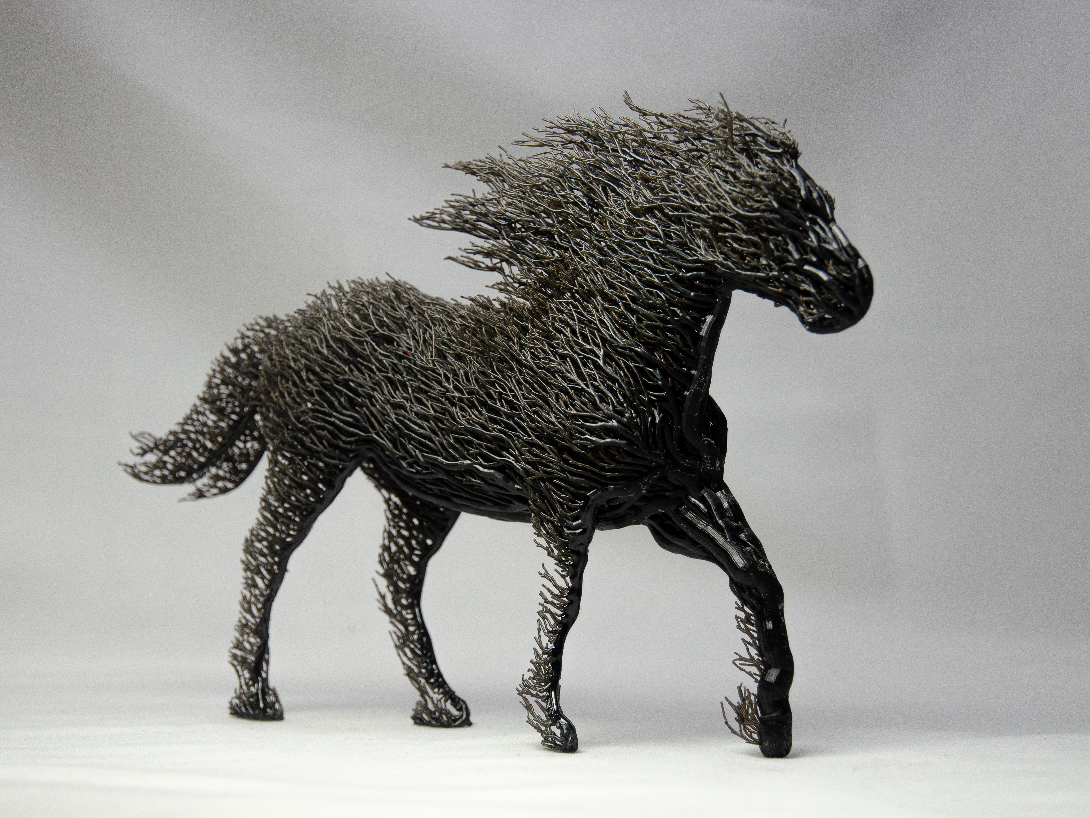 Black Grown Horse-1