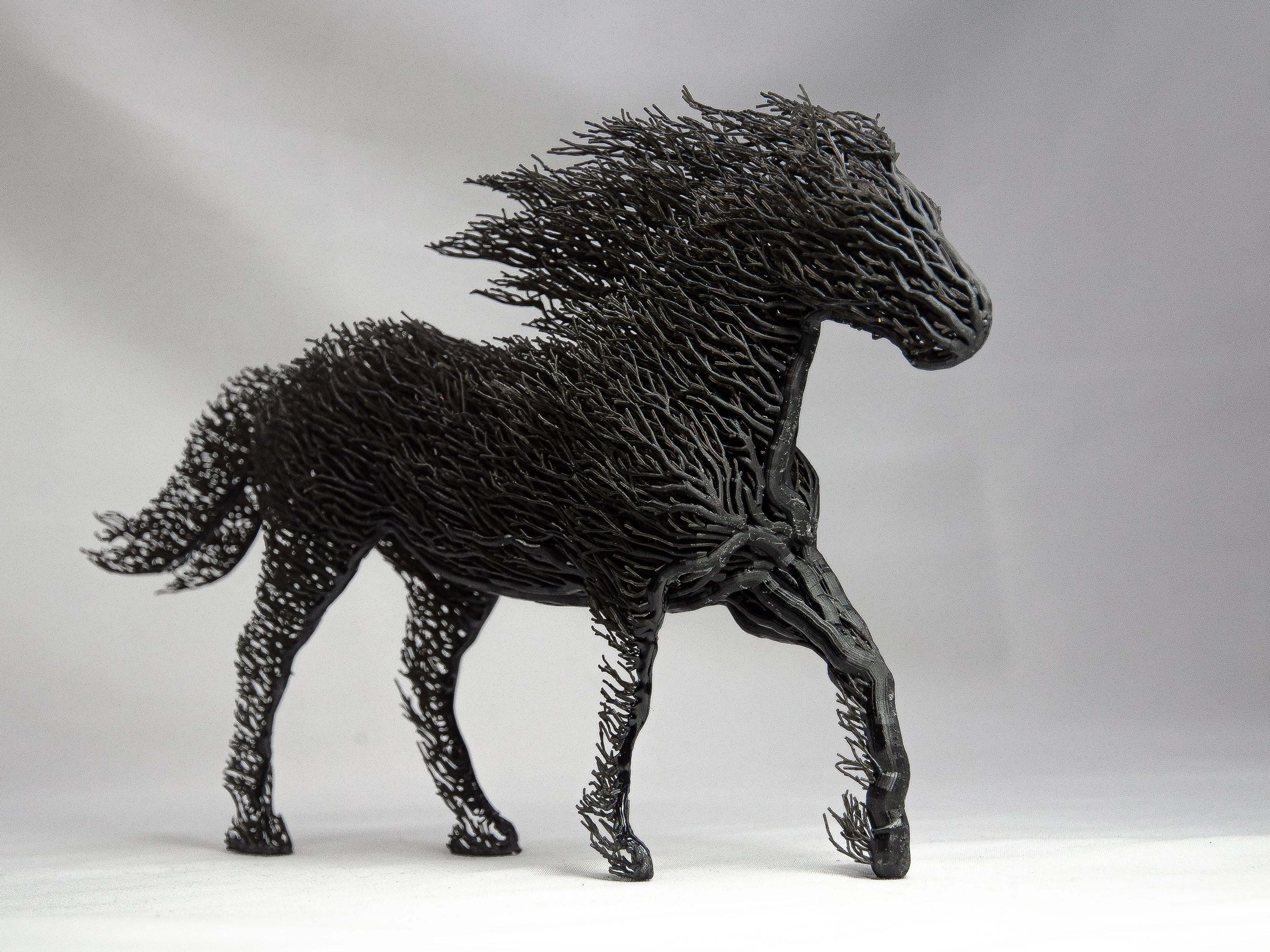 Black Grown Horse-3